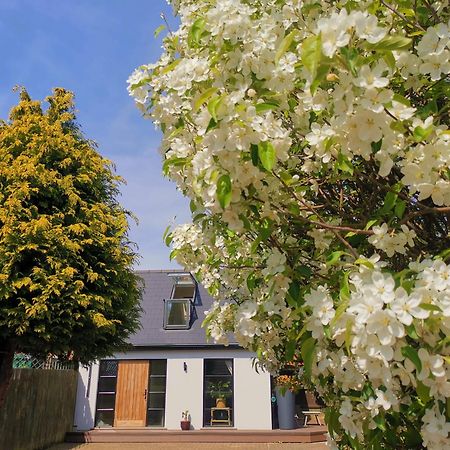 Hastings Casita, 'Little House' Self Contained Garden Lodge, Close To Town And Seafront Luaran gambar