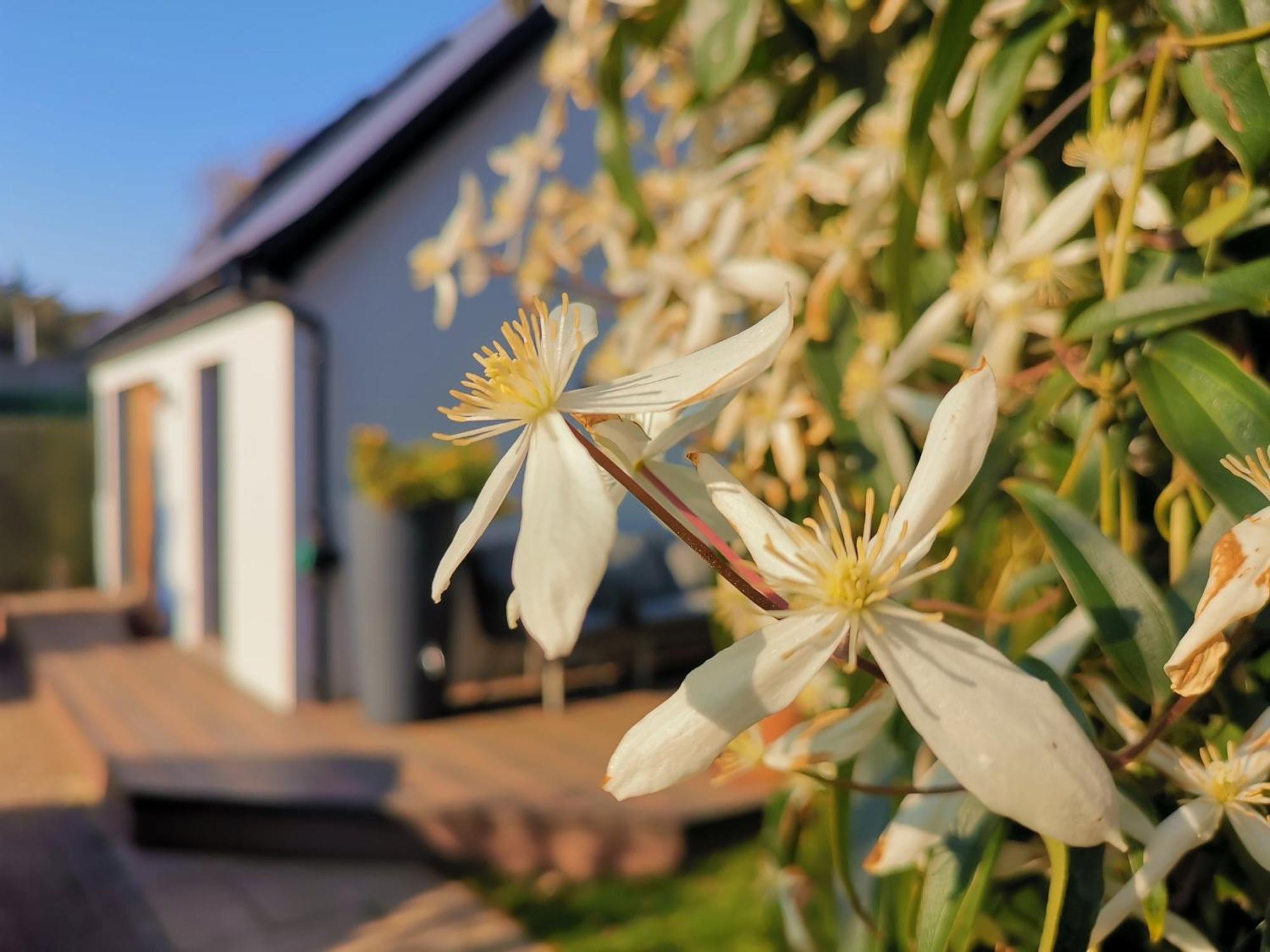 Hastings Casita, 'Little House' Self Contained Garden Lodge, Close To Town And Seafront Luaran gambar