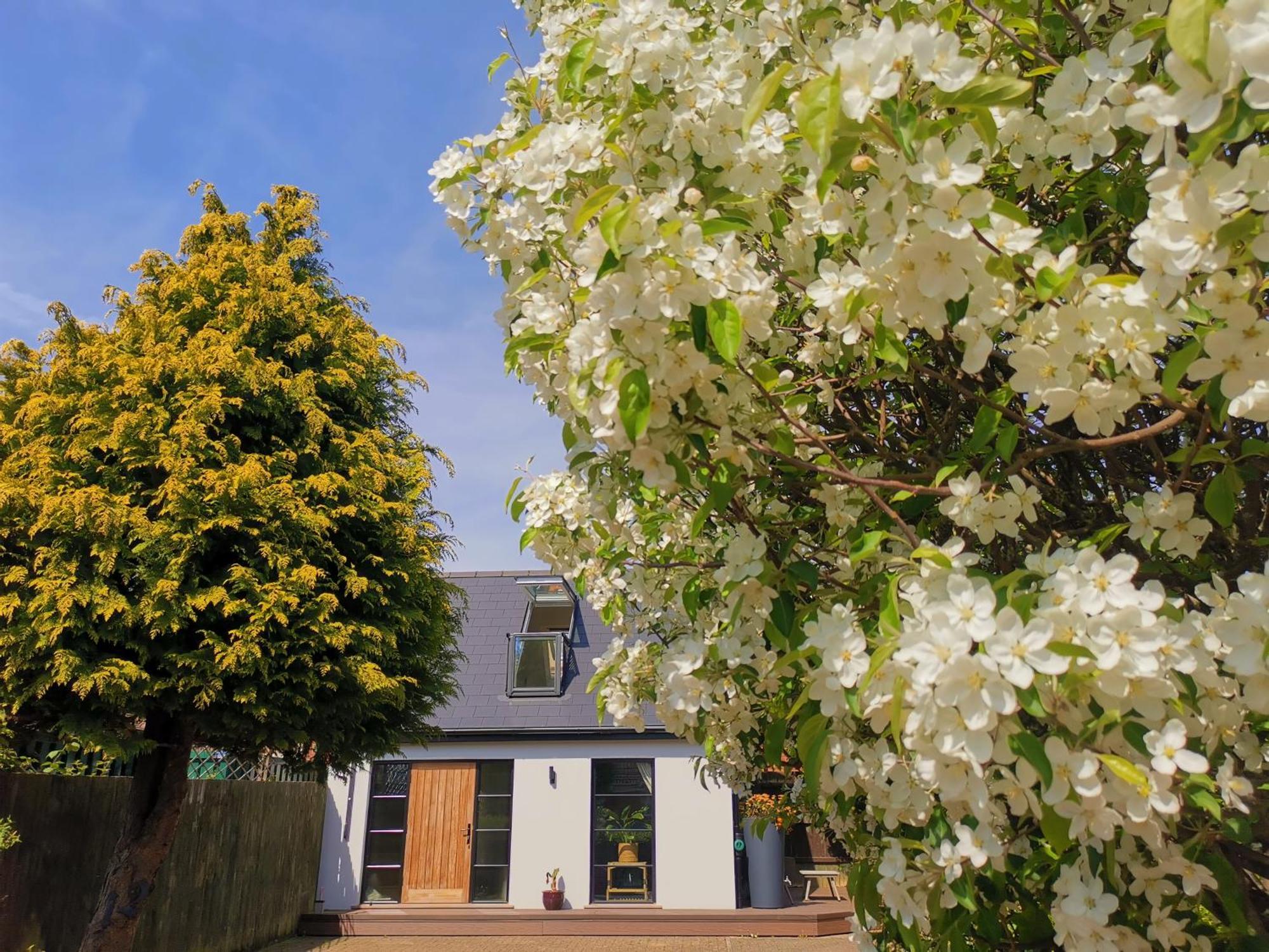 Hastings Casita, 'Little House' Self Contained Garden Lodge, Close To Town And Seafront Luaran gambar